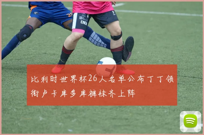 比利时世界杯26人名单公布丁丁领衔卢卡库多库裤袜齐上阵